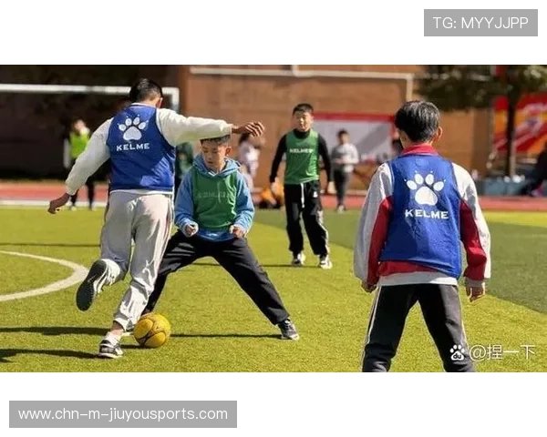 推动体育教育与职业体系衔接内容的报道机制，推动体育教育与职业体系衔接内容的报道机制是