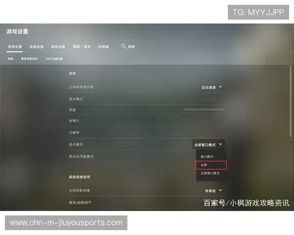 CSGO2职业选手设置大全 CSGO2职业选手设置大全